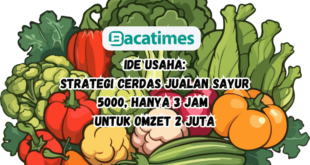 Strategi Cerdas Jualan Sayur 5000 Hanya 3 Jam untuk Omzet 2 Juta www.bacatimes.com